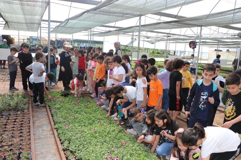 Yeşil Alan Uygulamaları